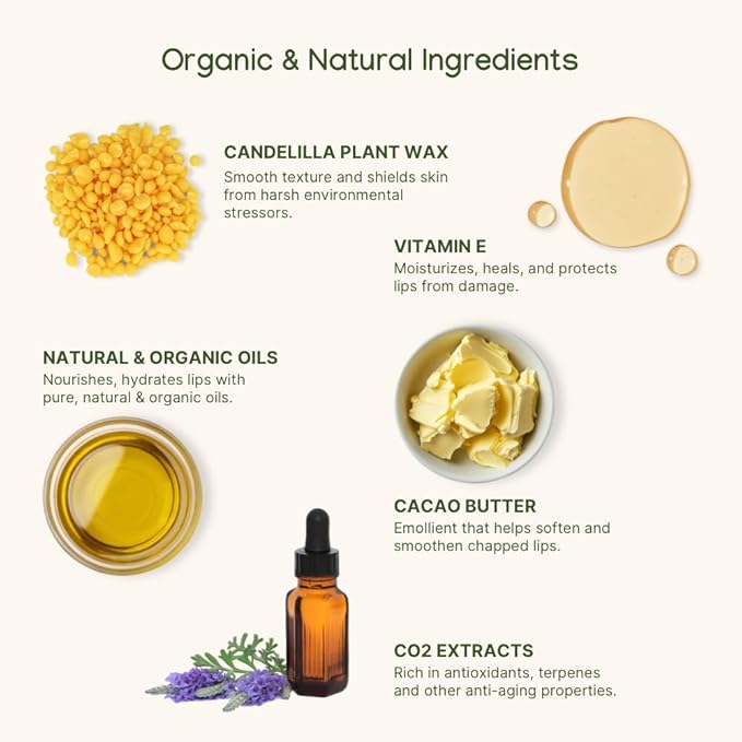 ILIKA Lip balm Organic, Vegan, Plastic-free, 100% Plant-based, 2X Volume, COSMOS Certified Organic, PETA Certified Vegan & Cruelty-Free, 2 Pack, Orange Tangerine