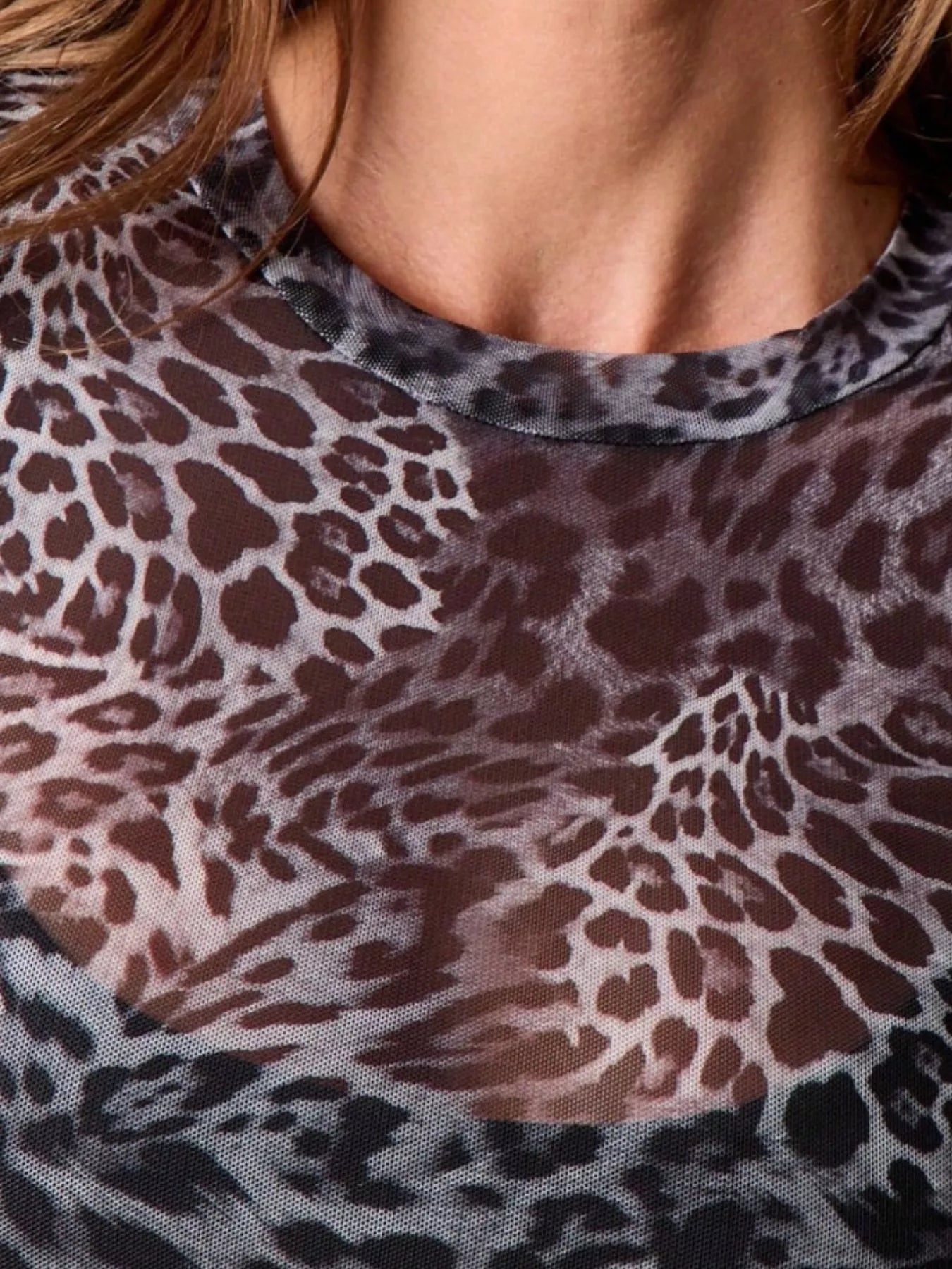 Sheer Leopard Print Long Sleeve Top